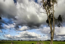 足球直播平台-韩国乒乓球队力克比利时，马龙破纪录再登巅峰