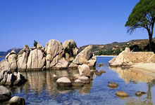 足球直播-德国乒乓球队血洗法国队，波尔惊艳世界再掀热潮