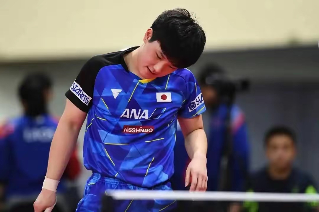 关于英国乒乓球队血洗韩国乒乓球队，张本智和绝境逆转的信息