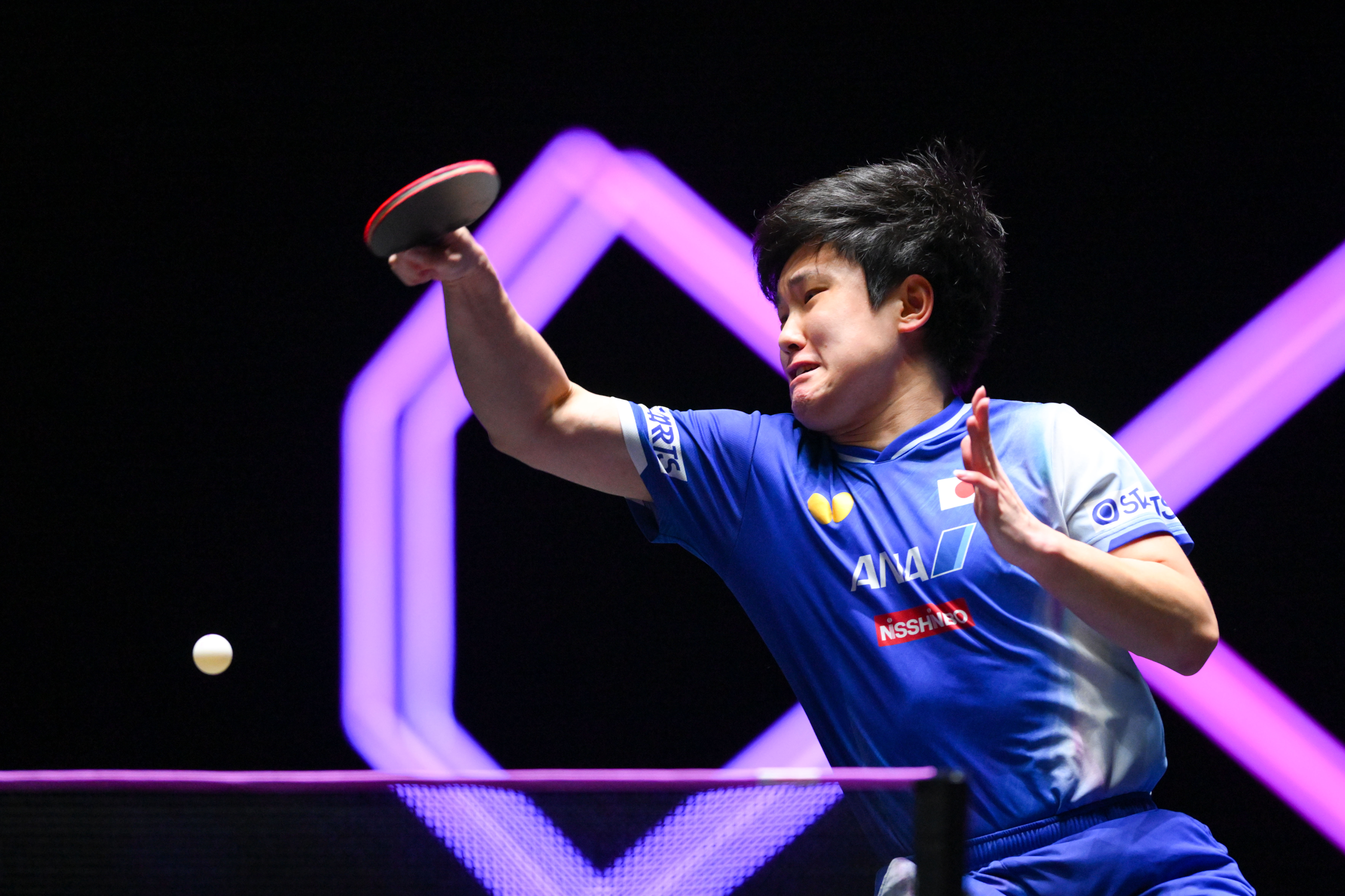 日本乒乓球队血洗法国乒乓球队，张本智和制霸全场的简单介绍